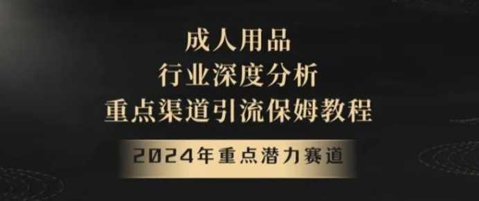 2024年重点潜力赛道,成人用品行业深度分析,重点渠道引流保姆教程【揭秘】