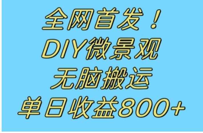 全网首发冷门赛道!DIY微景观,无脑搬运视频,日收益800+【揭秘】