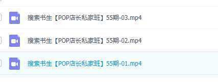 京东店长POP班【第55期】,京东搜推与爆款打造技巧,站内外广告高ROI投放打