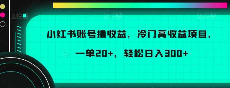 小红书账号撸收益,冷门高收益项目,一单20+,轻松日入300+【揭秘】
