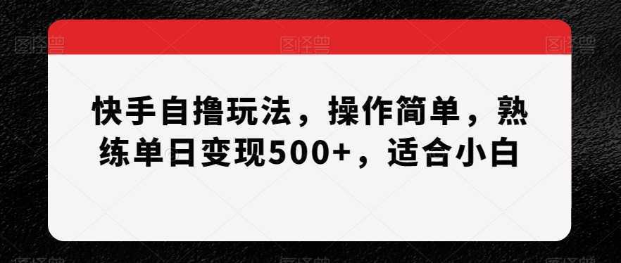 快手自撸玩法,操作简单,熟练单日变现500+,适合小白【揭秘】
