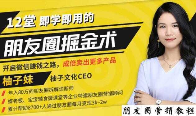 【营销必学】12堂学之即用的朋友圈掘金术:开启你的副业赚钱之路