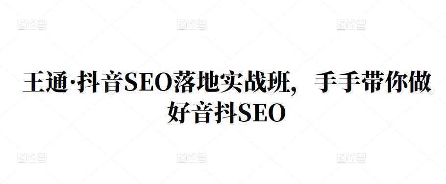 王通·抖音SEO落地实战班,手手带你做好音抖SEO