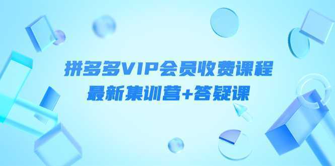 某社群·拼多多VIP会员收费课程,最新集训营+答疑课-价值3299元
