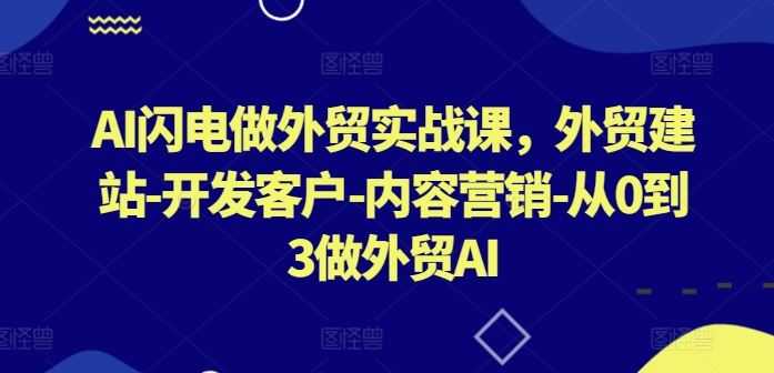 AI闪电做外贸实战课,外贸建站-开发客户-内容营销-从0到3做外贸AI