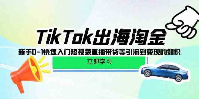 TikTok出海淘金,新手0-1快速入门短视频直播带货等引流到变现的知识