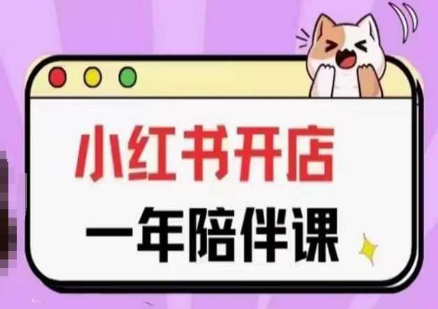 三九小红书开店一年陪伴课(更新),从0到1玩赚小红书开店