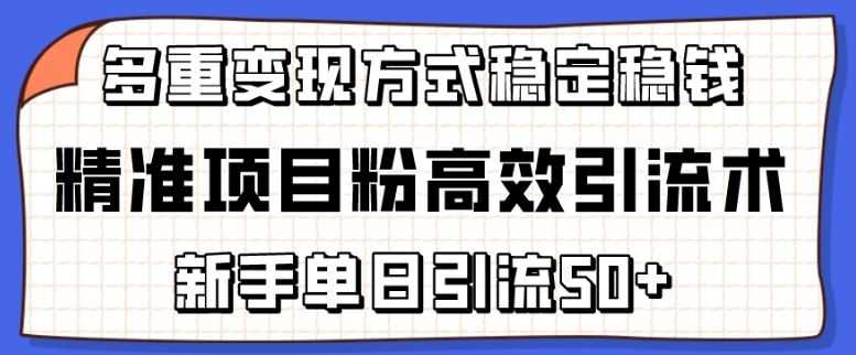 精准项目粉高效引流术,新手单日引流50+,多重变现方式稳定赚钱【揭秘】