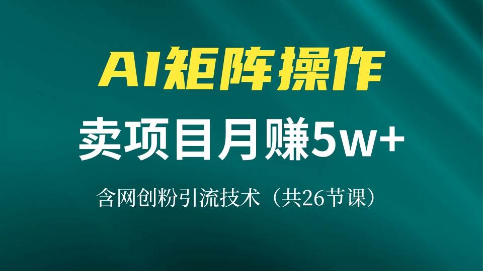 网创IP打造课,借助AI卖项目月赚5万+,含引流技术