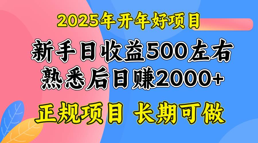 2025开年好项目,单号日收益2000左右