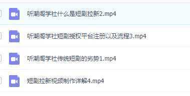 2023红利项目短剧拉新，月入过万红果短剧番茄小说CPA拉新项目教程