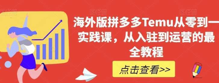 海外版拼多多Temu从零到一实践课，从入驻到运营的最全教程