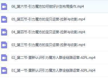 2023最新引力魔方系列课程，如何利用直通车去冲销量