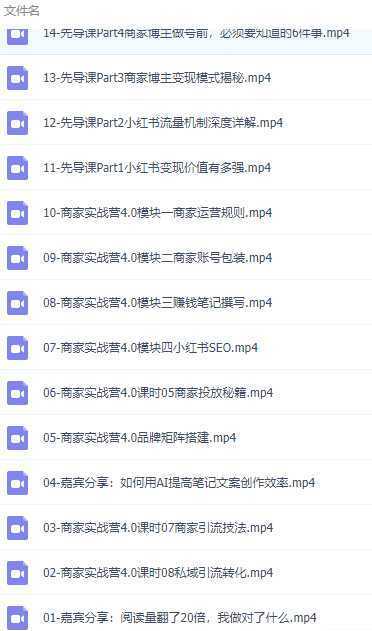 小红书商家博主实战营4.0，用小红书精准引流放大你得生意势能