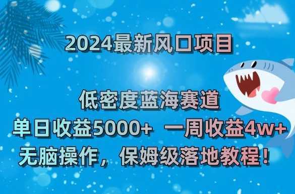 2024最新风口项目，低密度蓝海赛道，单日收益5000+，一周收益4w+！【揭秘】