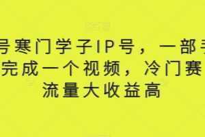 视频号寒门学子IP号，一部手价5分钟完成一个视频，冷门赛道，流量大收益高【揭秘】