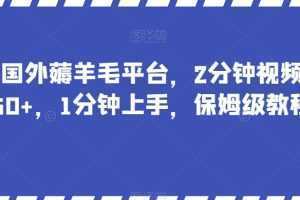 最新国外薅羊毛平台,2分钟视频收益50+,1分钟上手,保姆级教程【揭秘】