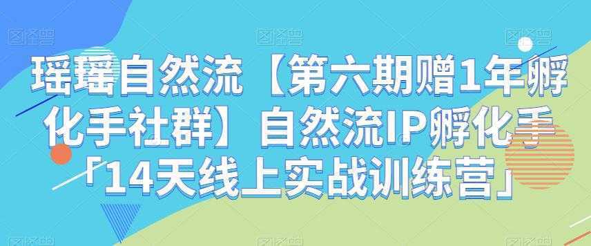 瑶瑶自然流【第六期赠1年孵化手社群】自然流IP孵化手「14天线上实战训练营」