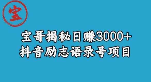 宝哥揭秘日赚3000+抖音励志语录号短视频变现项目
