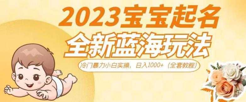2023宝宝起名全新蓝海玩法，冷门暴力小白实操，日入1000+【揭秘】