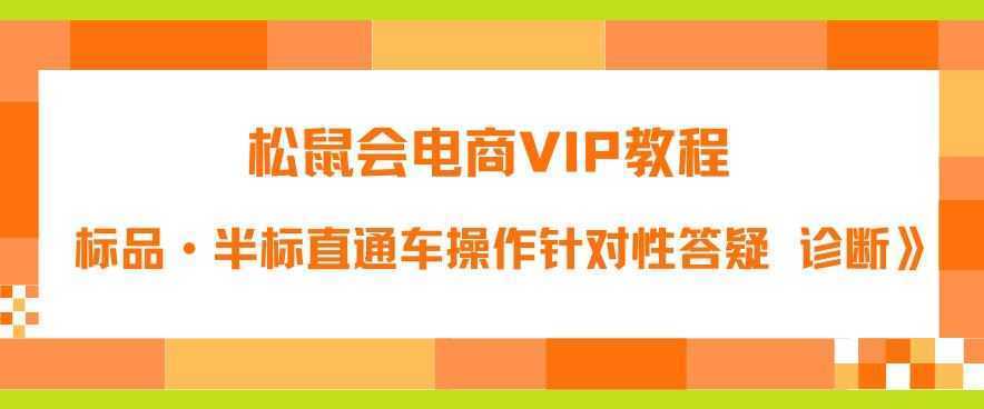 松鼠会电商VIP教程：松鼠《付费推广标品·半标直通车操作针对性答疑&amp;诊断》