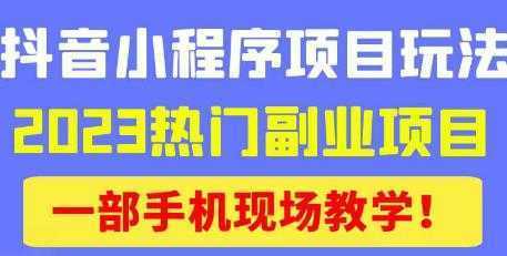 抖音小程序9.0新技巧，2023热门副业项目，动动手指轻松变现