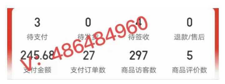 淘k·拼多多虚拟开店打卡群:一群人同行快过一个人单独摸索【更新至0226】