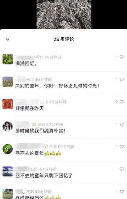 黄岛主副业孵化营第6期：80/90后童年时光怀旧短视频项目