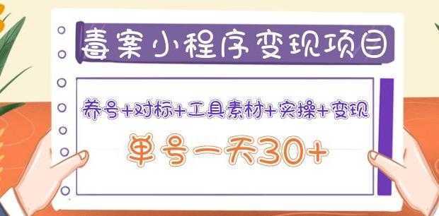 森罗万项毒案小程序变现项目:养号+对标+工具素材+实操+变现,单号一天30+