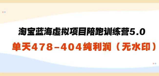 黄岛主：淘宝蓝海虚拟项目陪跑训练营5.0：单天478纯利润