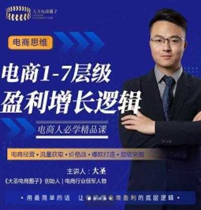 大圣：电商1-7层级盈利增长底层逻辑课，用简单的话，让你掌握电商盈利的底层逻辑