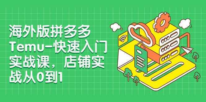外版拼多多Temu-快速入门实战课，店铺实战从0到1