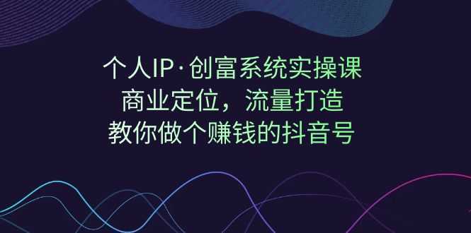 个人IP·创富系统实操课：商业定位，流量打造，教你做个赚钱的抖音号