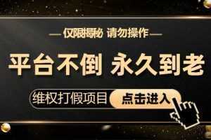 维权打假项目，电商平台不倒，项目长久到老，零投入，高回报