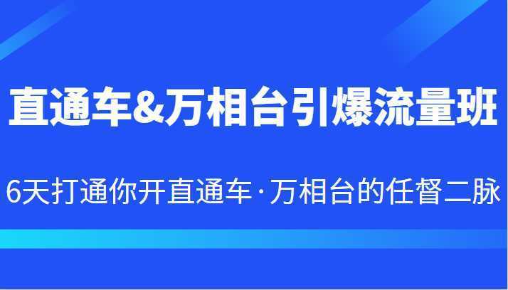 直通车&amp;万相台引爆流量班 6天打通你开直通车·万相台的任督二脉