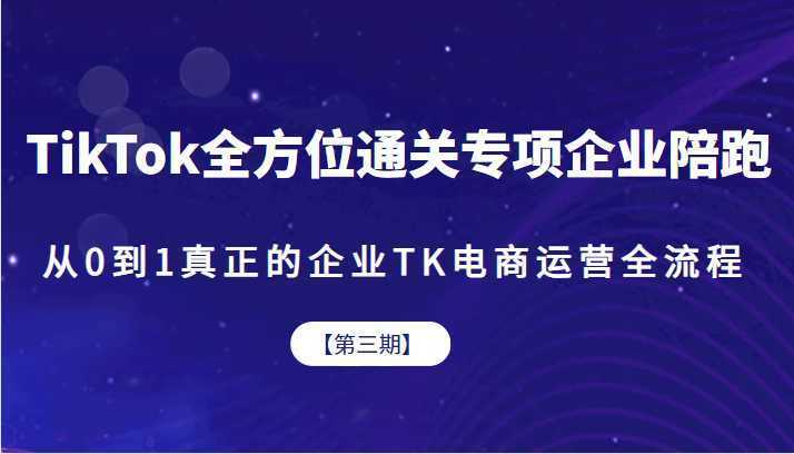 TikTok全方位通关专项企业陪跑【第三期】，从0到1真正的企业TK电商运营全流程