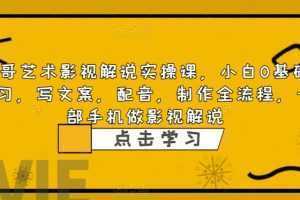 影视解说实战课,小白0基础 写文案 配音 制作全流程 一部手机做影视解说