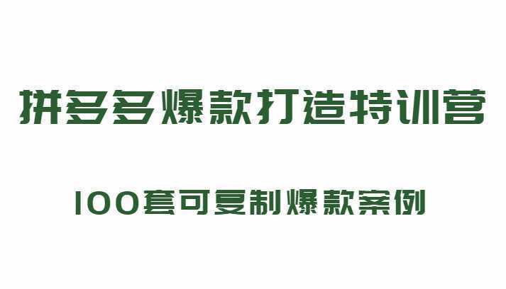 拼多多爆款打造特训营，199元*100套可复制爆款案例（持续更新中)