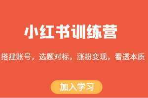 小红书训练营，搭建账号，选题对标，涨粉变现，看透本质
