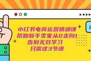 小红书电商·运营精通课，帮助新手卖家从0走向1 告别无效学习