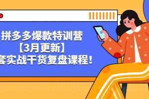 拼多多爆款特训营【3月更新】,全套实战干货复盘课程