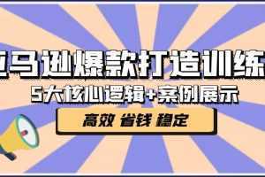 亚马逊爆款打造训练营:5大核心逻辑+案例展示 打造爆款链接 高效 省钱 稳定