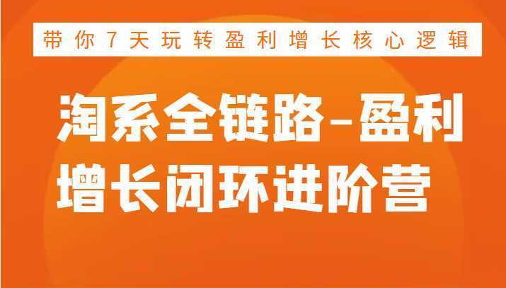 淘系全链路-盈利增长闭环进阶营，带你7天玩转盈利增长核心逻辑