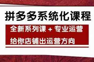车神陪跑拼多多系统化课程,全新系列课+专业运营给你店铺出运营方向