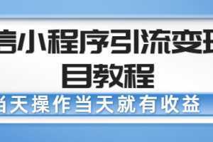 微信小程序引流变现项目教程，当天操作当天就有收益，变现不再是难事【无水印】