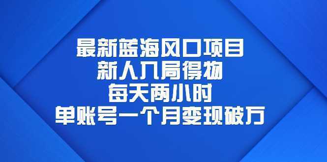 最新蓝海风口项目，新人入局得物，每天两小时，单账号一个月变现破万