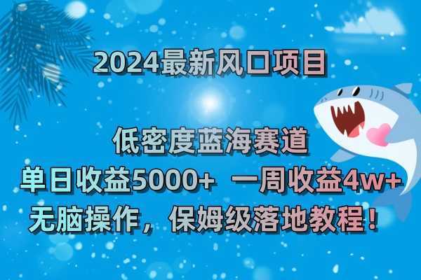 2024最新风口项目 低密度蓝海赛道,日收益5000+周收益4w+ 无脑操作,保…