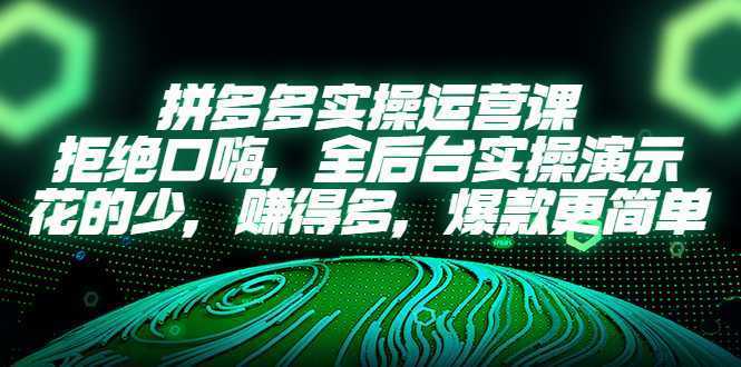 拼多多实操运营课：拒绝口嗨，全后台实操演示，花的少，赚得多，爆款更简单