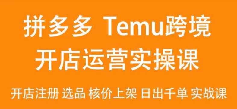 2024Temu最新玩法，Temu跨境开店运营实操课，开店注册/选品/核价上架/日出千单实战课