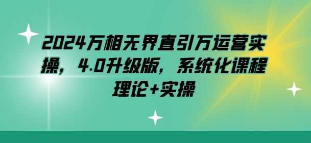 2024万相无界直引万运营实操，4.0升级版，系统化课程 理论+实操